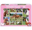 Schmidt Spiele Puzzle Pferdeträume, 150 Teile