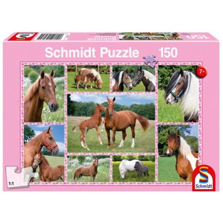 Schmidt Spiele Puzzle Pferdeträume, 150 Teile