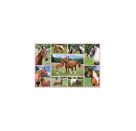 Schmidt Spiele Puzzle Pferdeträume, 150 Teile