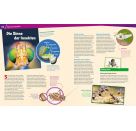 WAS IST WAS Band 30 Insekten - Überlebenskünstler auf sechs Beinen