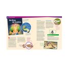 WAS IST WAS Band 30 Insekten - Überlebenskünstler auf sechs Beinen