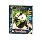 Malen nach Zahlen - Pandabären