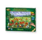 Malen nach Zahlen - Blumenwiese