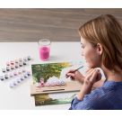 Malen nach Zahlen - Paintmaster