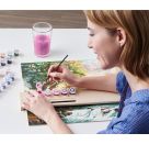 Malen nach Zahlen - Paintmaster