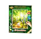 Malen nach Zahlen - Birkenwäldchen