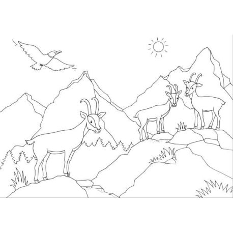 Mein schönstes Malbuch. In den Bergen