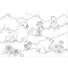 Mein schönstes Malbuch. In den Bergen