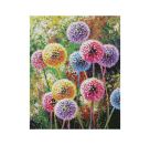 Malen nach Zahlen - Blütenfeuerwerk