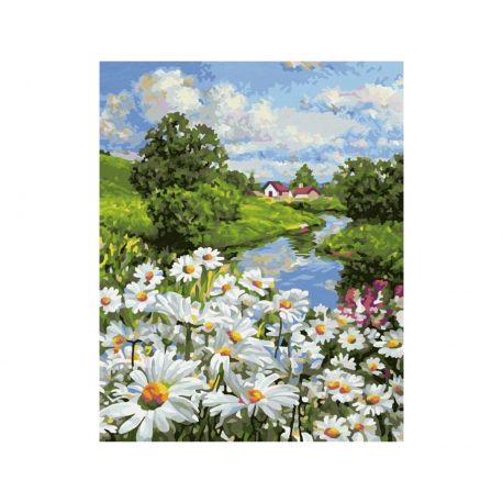 Malen nach Zahlen - Margeritenwiese