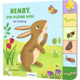 Henry, der kleine Hase