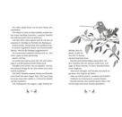 Die Lama-Gang. Mit Herz   Spucke 3: Drei gegen Spukerei