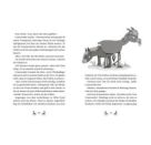 Die Lama-Gang. Mit Herz   Spucke 4: Auf die Hufe, fertig los!