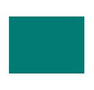 KNORR prandell 218433461  Moosgummi CreaSoft  tannengrün