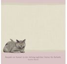Zettelkästchen – I love cats