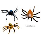 Glibberiges Spinnen-Ei