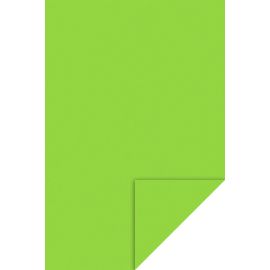 CreaSoft 2mm 20x30cm hellgrün