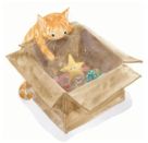 Das kleine Weihnachtssternchen