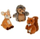 Reh, Igel   Eichhörnchen