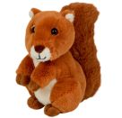 Reh, Igel   Eichhörnchen