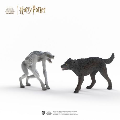 Werwolf vs. Animagus