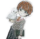 Crystal Art Mirror Harry Potter