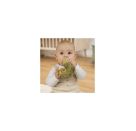 Fehn Ring-Greifling Chamäleon