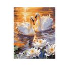 MNZ - Verliebte Schwäne