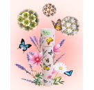 Display Mag. Kaleidoskope, so