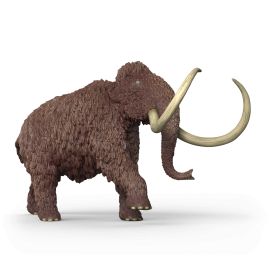 Mammut