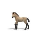 Sammelfohlen Delilah