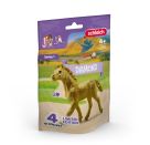 Sammelfohlen Diamond