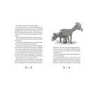 Die Lama-Gang. Mit Herz   Spucke 4: Auf die Hufe, fertig los!