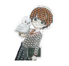 Crystal Art Mirror Harry Potter