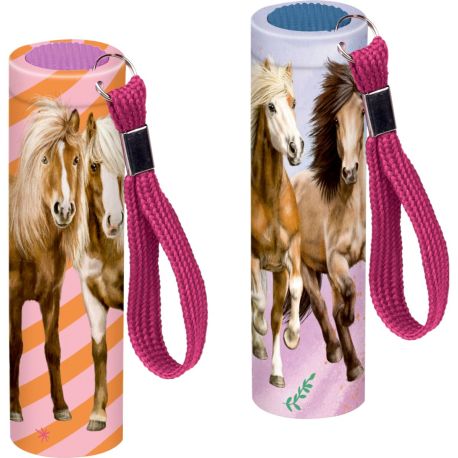 Kleine Taschenlampe - Pferdefreunde