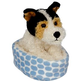Foxterrier Boomer im Korb