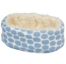 Foxterrier Boomer im Korb