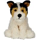 Foxterrier Boomer im Korb