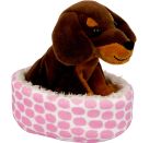 Dackel Watson im Korb