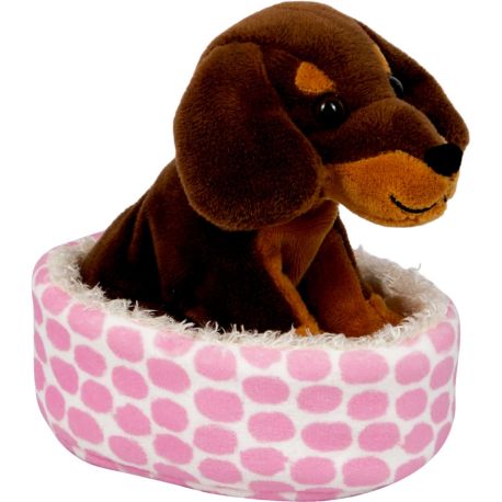 Dackel Watson im Korb