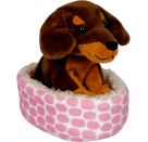 Dackel Watson im Korb