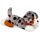 Kuschelhund Australian Shepherd Maya