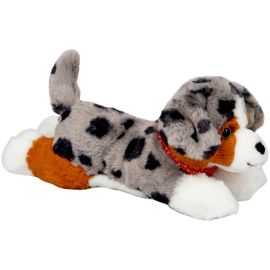 Kuschelhund Australian Shepherd Maya