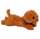 Kuschelhund Pudel Sammy