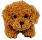 Kuschelhund Pudel Sammy