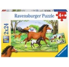 Ravensburger 08882 Puzzle Welt der Pferde 2 x 24 Teile