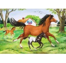Ravensburger 08882 Puzzle Welt der Pferde 2 x 24 Teile