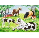 Ravensburger 08882 Puzzle Welt der Pferde 2 x 24 Teile