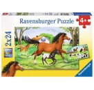 Ravensburger 08882 Puzzle Welt der Pferde 2 x 24 Teile
