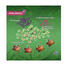 Carni Flora – Wachsen lassen